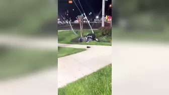 Ghetto Scum Destroys New York Chicken And Grill Before It Collapses