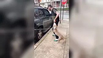 Ghetto Scum Laughs As He Allows His Pit Bull To Attack Homeless Man