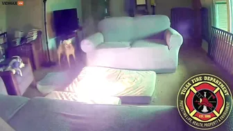 Dog Burns Down House After Chewing Something