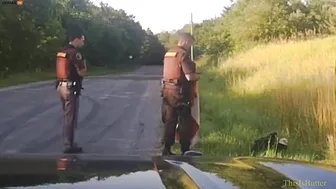 Michigan Police Rescue Bald Eagle Struck By Car