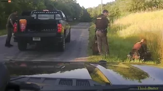 Michigan Police Rescue Bald Eagle Struck By Car