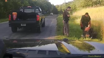 Michigan Police Rescue Bald Eagle Struck By Car