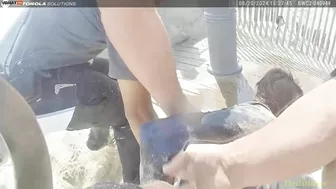 New Jersey Police Brutally Arrest Surfer