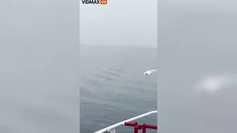 Kamikaze Boat Explodes As It Heads Towards Container Ship