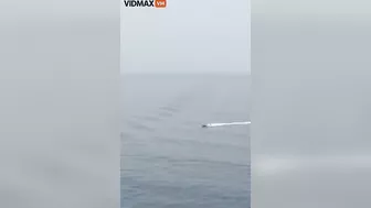 Kamikaze Boat Explodes As It Heads Towards Container Ship