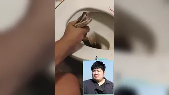 Thai Man Bitten On Testicles By Python In Toilet