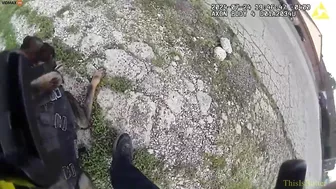 Asshole Cop Attacks His K9 Partner For Doing What He Said