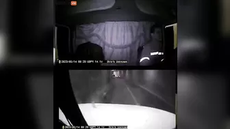 When The Truck Driver Realized Too Late That There Was Traffic In The Tunnel, He Screamed