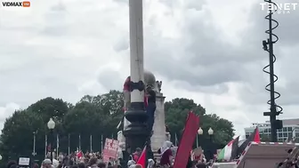 Watch Pro-Hamas Thugs Tear Down American Flag In Washington