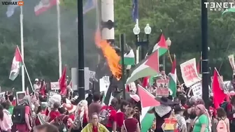 Watch Pro-Hamas Thugs Tear Down American Flag In Washington