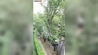 Woman Climbs Telephone Wires To Get A Pair Of Sneakers