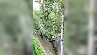 Woman Climbs Telephone Wires To Get A Pair Of Sneakers