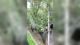 Woman Climbs Telephone Wires To Get A Pair Of Sneakers