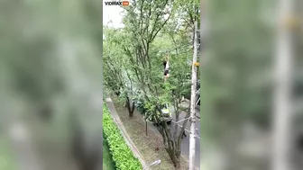 Woman Climbs Telephone Wires To Get A Pair Of Sneakers