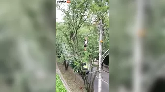 Woman Climbs Telephone Wires To Get A Pair Of Sneakers