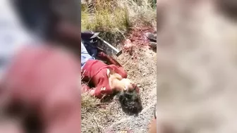 15 Killed In Truck Accident With Underage Driver