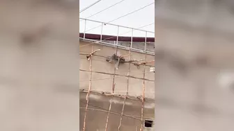 2 Bricklayers Electrocuted To Death While Working On Electrical Wires