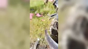 Four Young People Killed In Horrific Car Crash