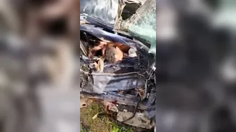 Four Young People Killed In Horrific Car Crash