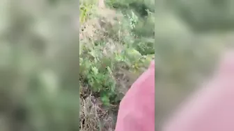 Four Young People Killed In Horrific Car Crash
