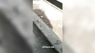 A Man Fell From A Bridge, Crushing Two Men To Death