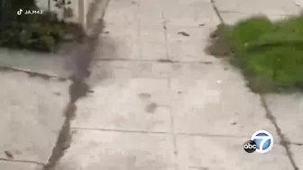 Man Destroys Wife's House And Car With Dump Truck