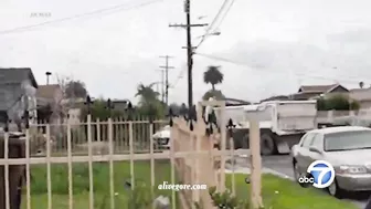 Man Destroys Wife's House And Car With Dump Truck