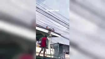A Worker Accidentally Touched A Cable And Was Electrocuted To Death