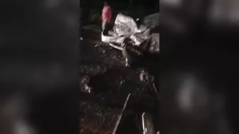 A Serious Accident With Human Remains And Bodies Scattered On The Ground