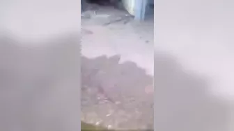 An Accidental Mine Explosion Killed One Soldier And Injured Nine Others.