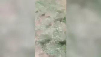 An Accidental Mine Explosion Killed One Soldier And Injured Nine Others.