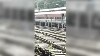 An Idiot Was Electrocuted For Walking On Top Of A Train