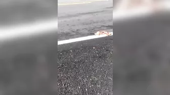 Due To The Accident, Only The Legs Are Left