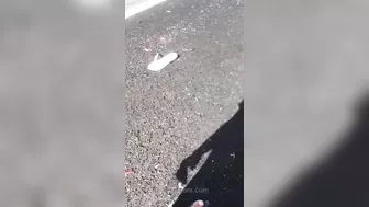 Due To The Accident, Only The Legs Are Left