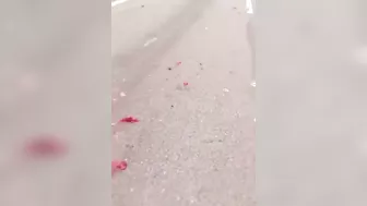 Biker Dismembered In Fatal Accident