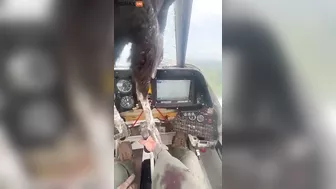 Bloodied Pilot Remains Calm After Giant Bird Crashes