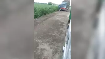 Two Truck Drivers Electrocuted By Utility Pole Hit By Car