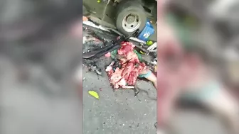 A Brutal Bloody Massacre After A Horrific Accident...complete Dismemberment.