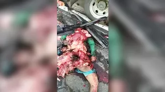 A Brutal Bloody Massacre After A Horrific Accident...complete Dismemberment.