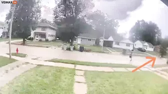 A Cyclist Hits A Tree That Fell In Front Of Him