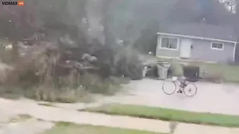 A Cyclist Hits A Tree That Fell In Front Of Him