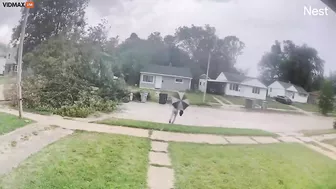 A Cyclist Hits A Tree That Fell In Front Of Him