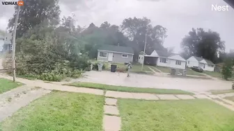 A Cyclist Hits A Tree That Fell In Front Of Him