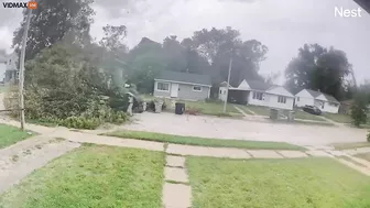 A Cyclist Hits A Tree That Fell In Front Of Him