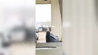 Car Carrying Illegal Immigrants Crashes While Fleeing Police