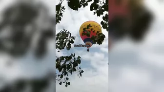 Chinese Students Fell From A