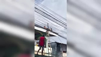 Construction Worker Dies After Accidentally Touching A Living Person