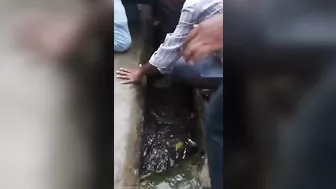 Drunk Man Fell Into Sewer