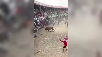 Go To Hell, You Bastard, Man Fell To His Death In Front Of The Bull