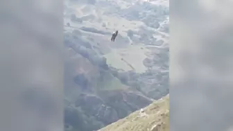 Man Falls From Zip Line